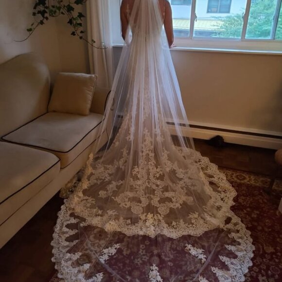 Journey by Enzoani Wedding Dress and Veil - Picture 4 of 4